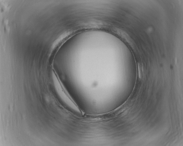 X0000073730675200608311846