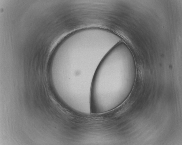 X0000073730676200608311846