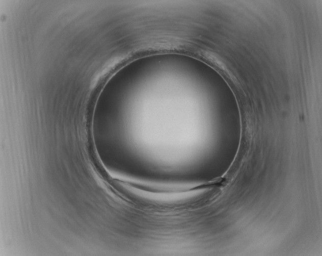 X0000073730677200608311846