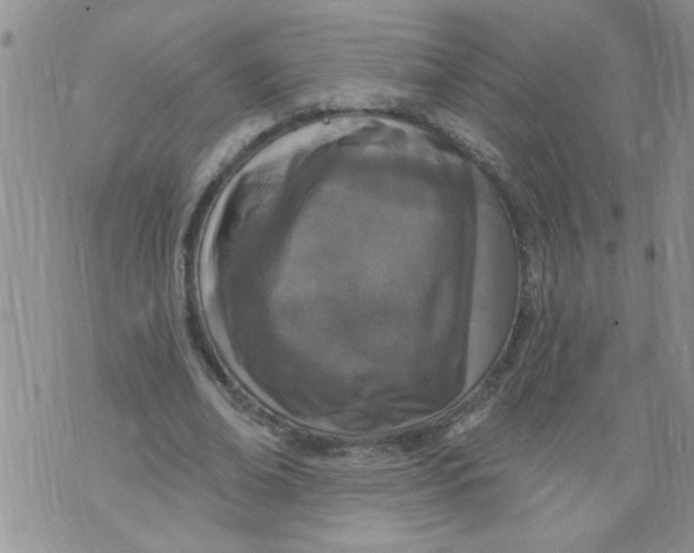 X0000073730678200608311846