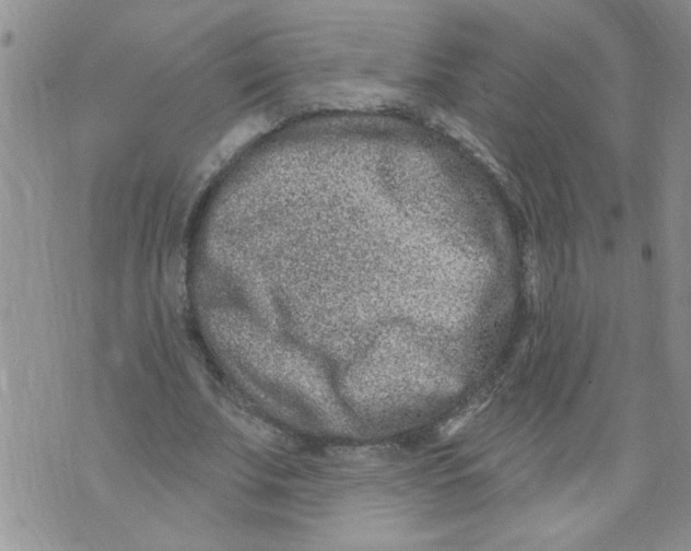 X0000073730679200608311846