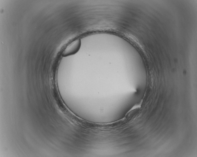 X0000073730680200608311845