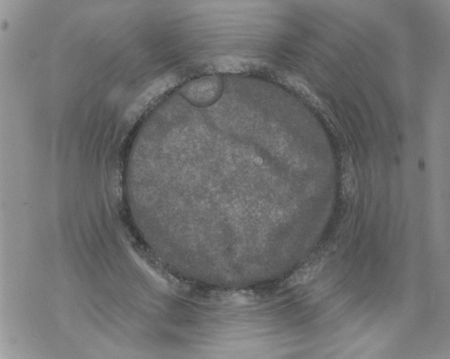 X0000073730683200608311845