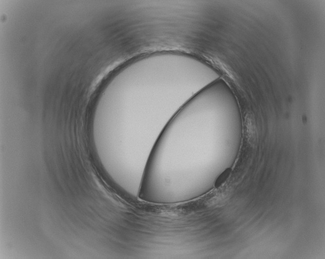 X0000073730684200608311845