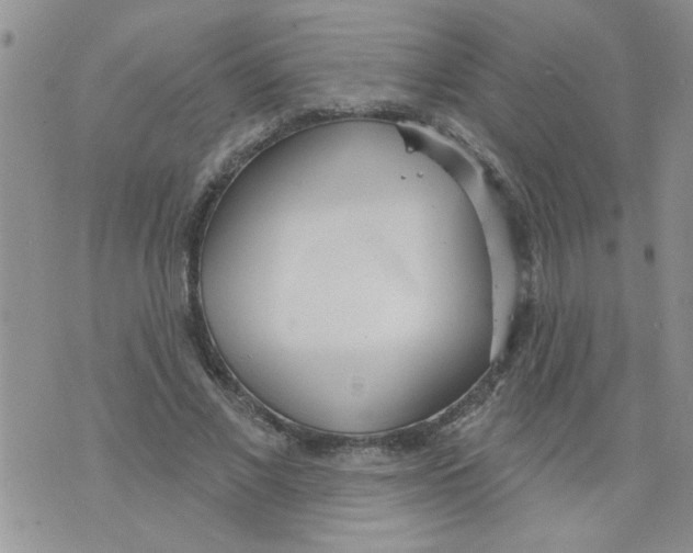 X0000073730685200608311845