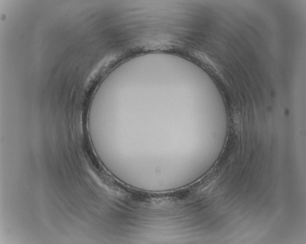 X0000073730686200608311845