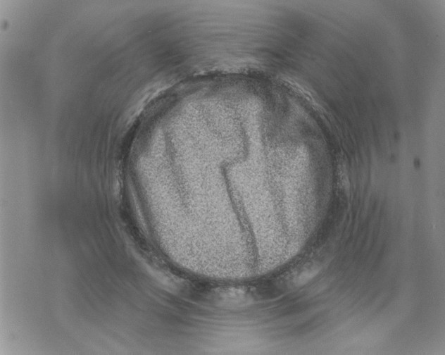 X0000073730687200608311845