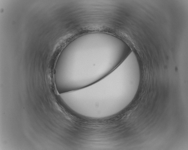 X0000073730688200608311845