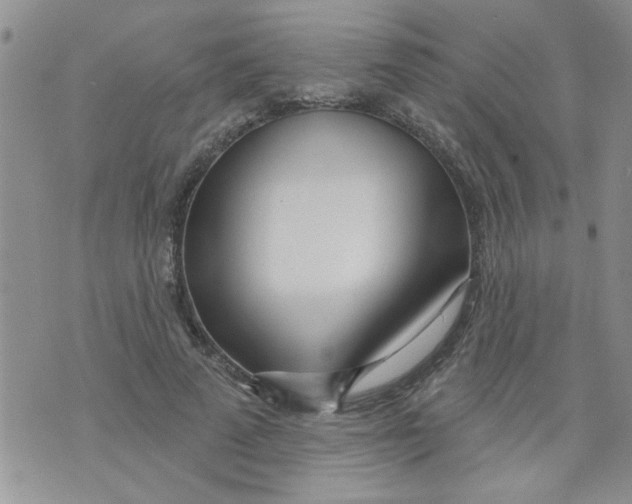 X0000073730689200608311845