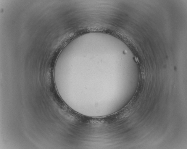 X0000073730690200608311845