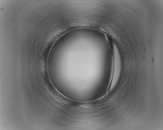 X0000073730692200608311845