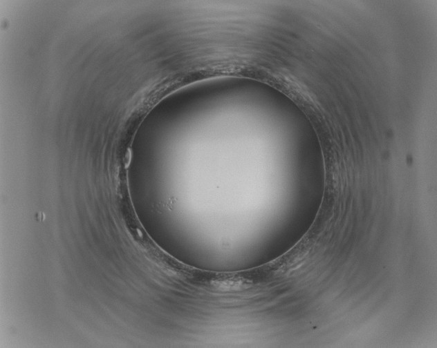 X0000073730693200608311845