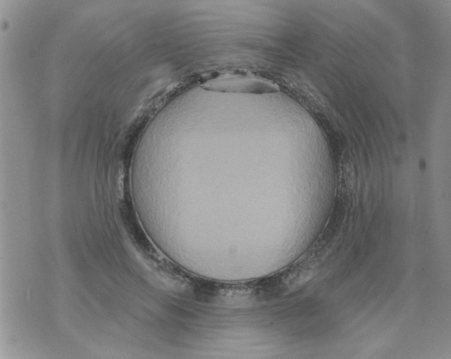 X0000073730694200608311845