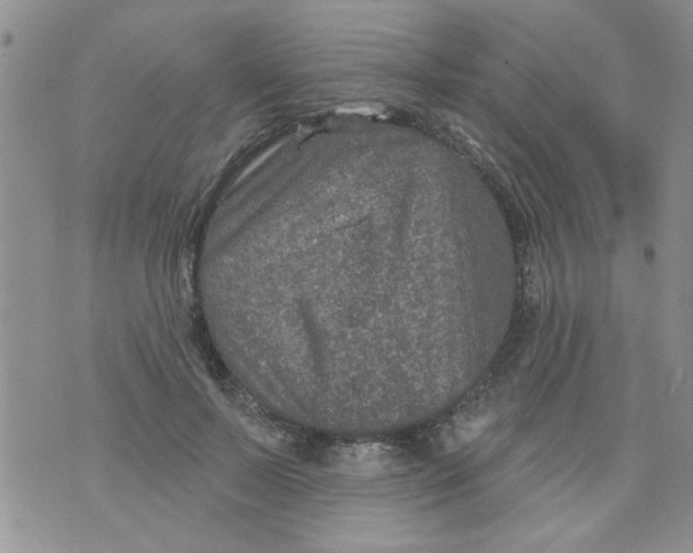 X0000073730695200608311845