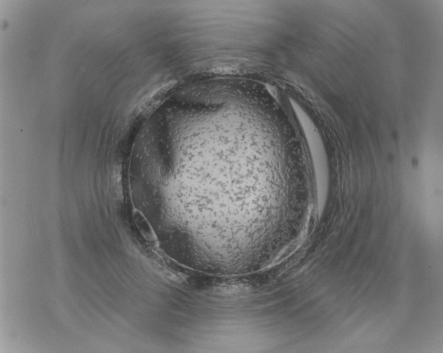 X0000073730696200608311845