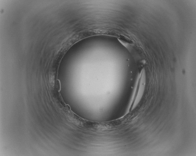 X0000073730697200608311845