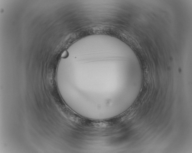 X0000073730698200608311845