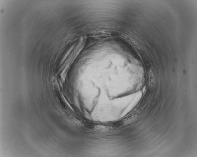 X0000073730699200608311845