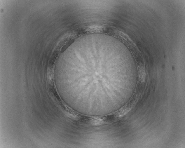 X0000073730701200608311845