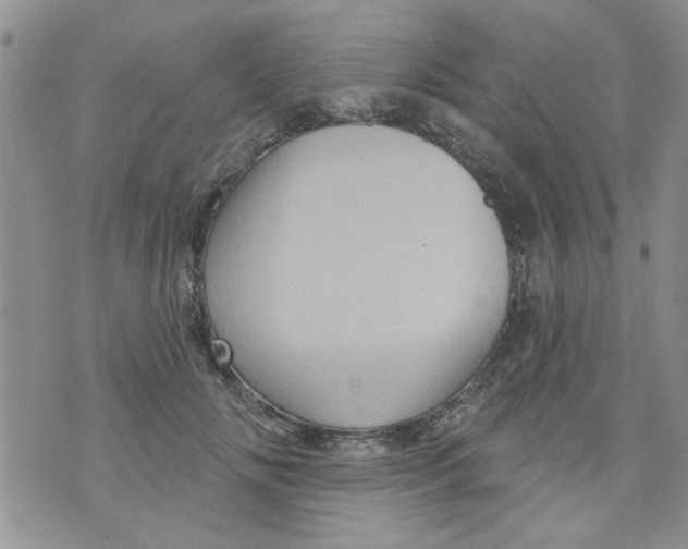 X0000073730702200608311845