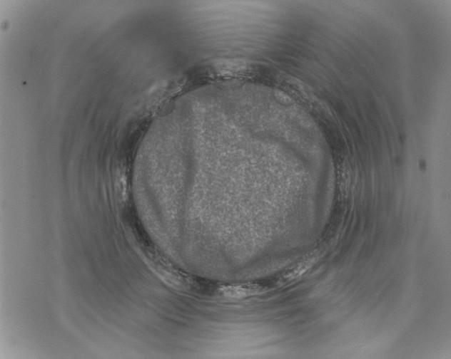 X0000073730703200608311845