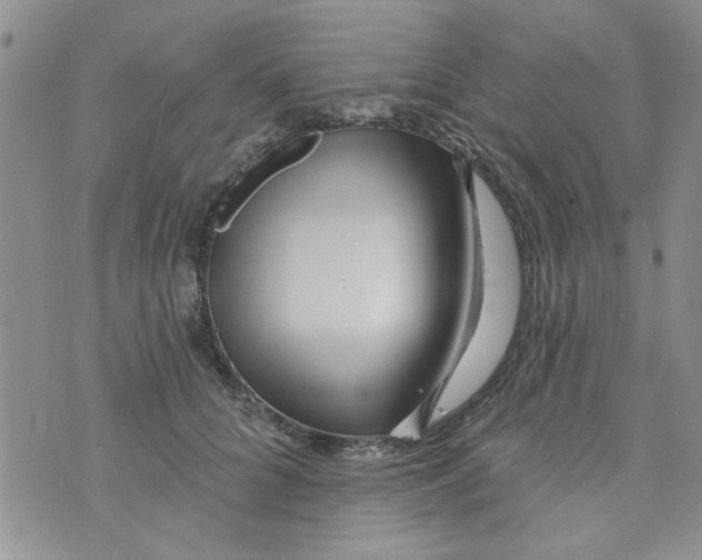 X0000073730704200608311845