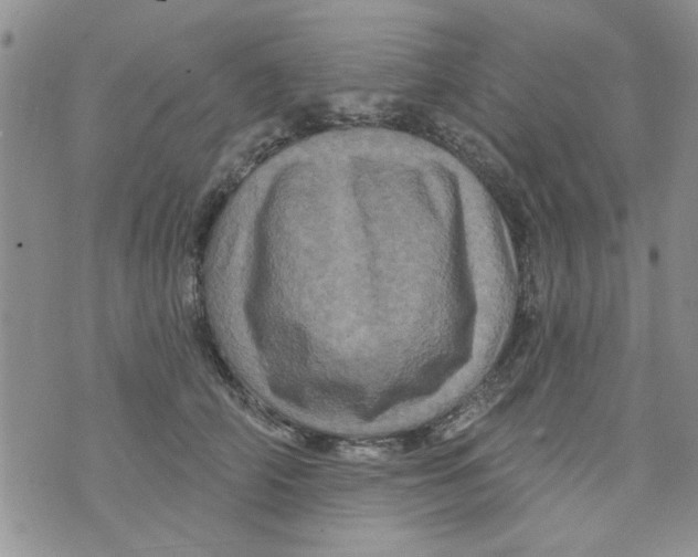 X0000073730706200608311845