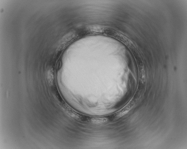 X0000073730707200608311845