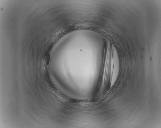 X0000073730708200608311845