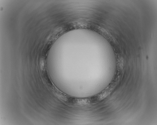 X0000073730709200608311845