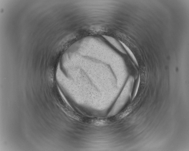 X0000073730710200608311845