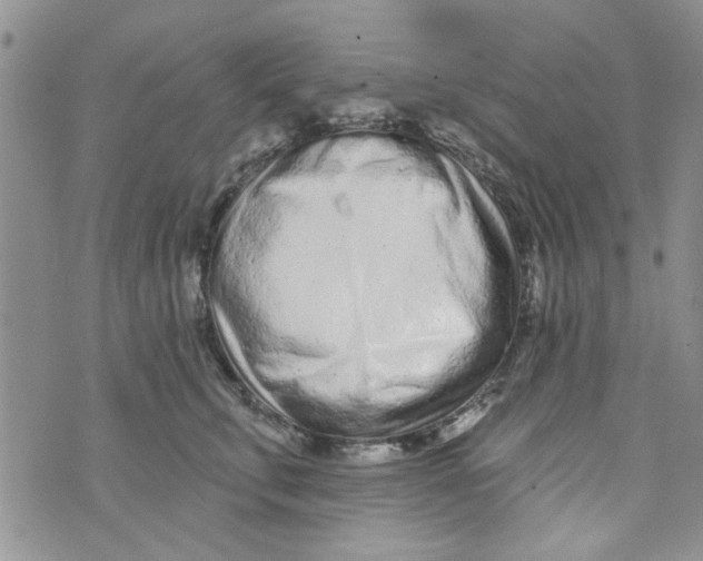 X0000073730711200608311845