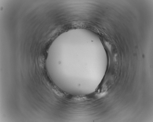 X0000073730712200608311845