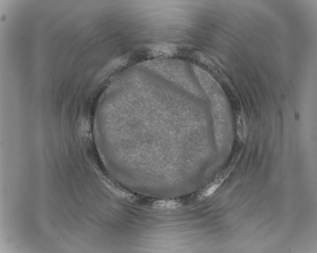 X0000073730714200608311845