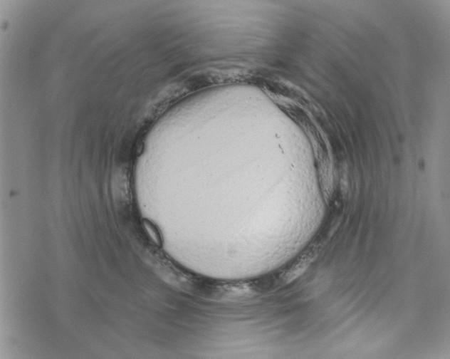 X0000073730715200608311845