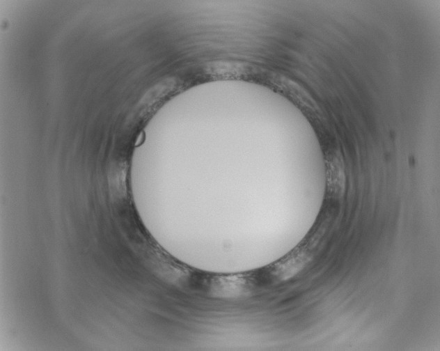 X0000073730717200608311845