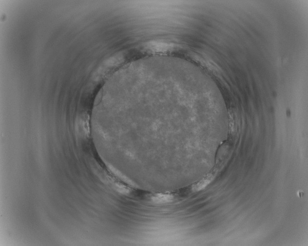 X0000073730718200608311845