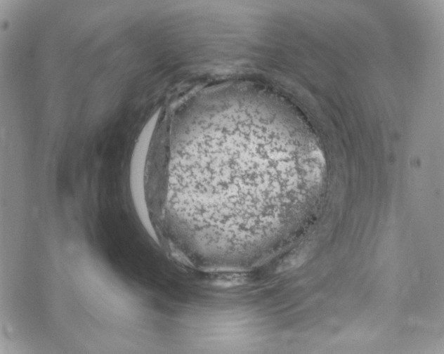 X0000073730720200608311845