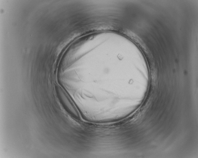 X0000073730721200608311844