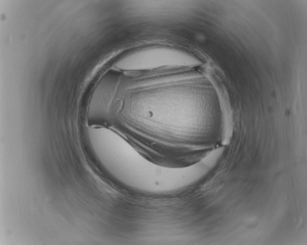 X0000073730722200608311844