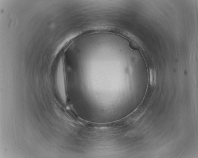 X0000073730723200608311844