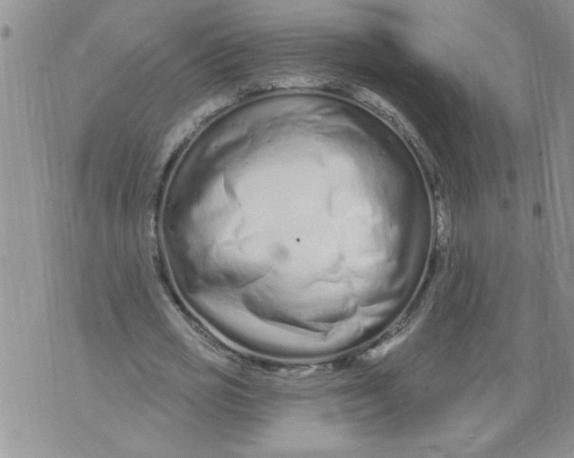 X0000073730725200608311844