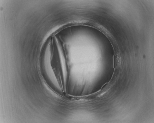 X0000073730726200608311844