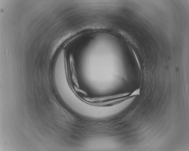 X0000073730727200608311844