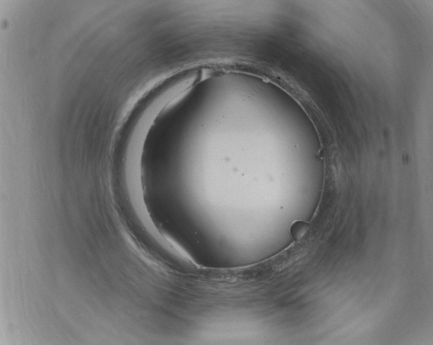 X0000073730728200608311844