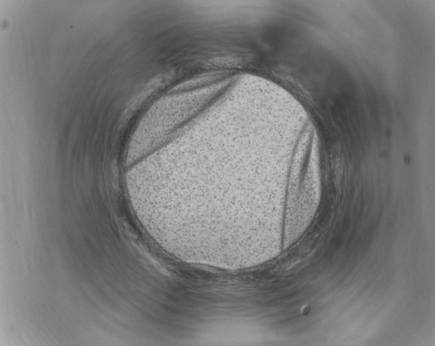 X0000073730729200608311844