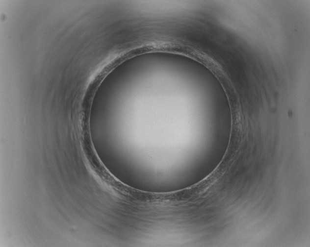 X0000073730730200608311844