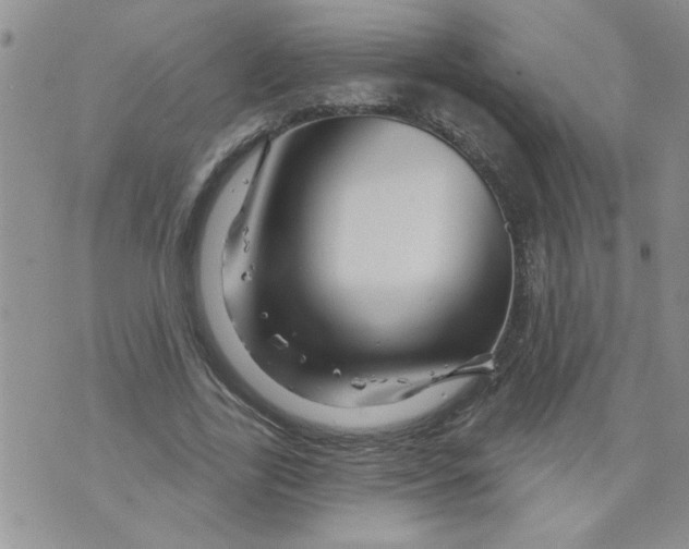 X0000073730731200608311844