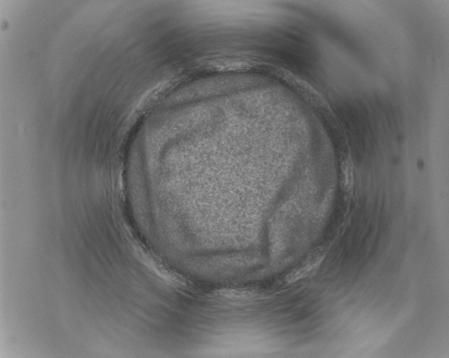 X0000073730733200608311844