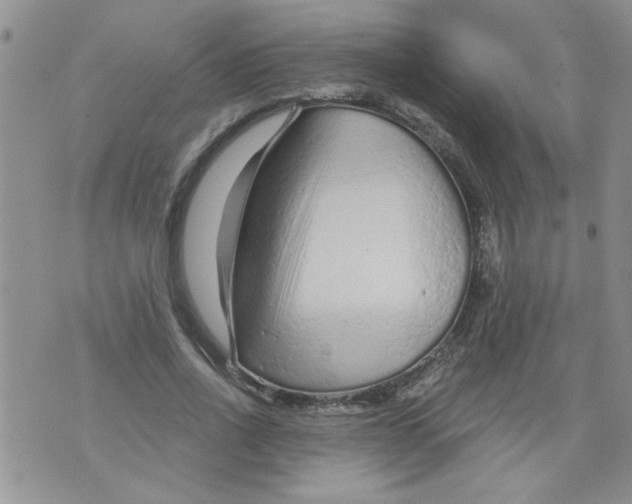 X0000073730734200608311844